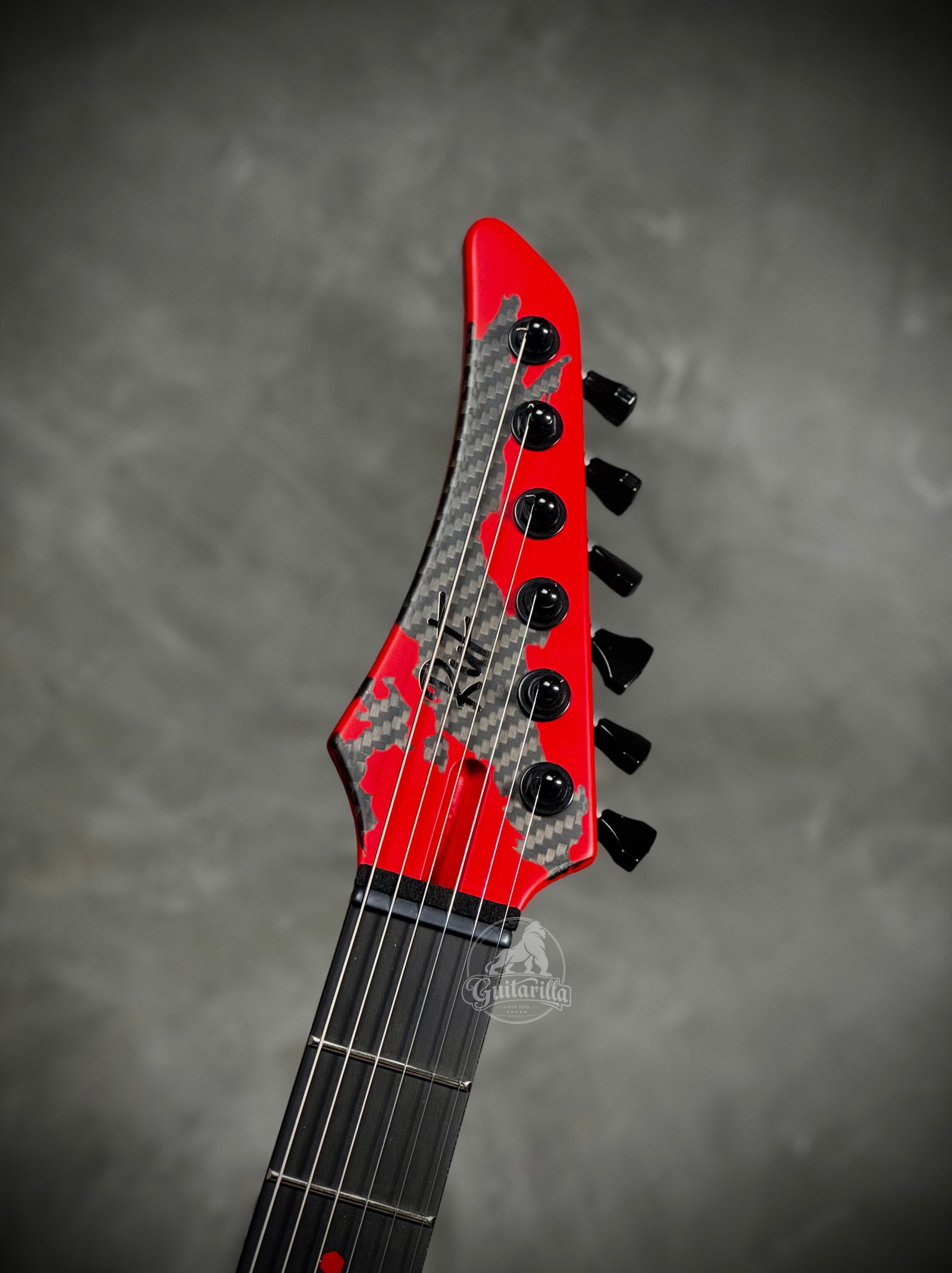 RUF Professor Schrödinger — headstock